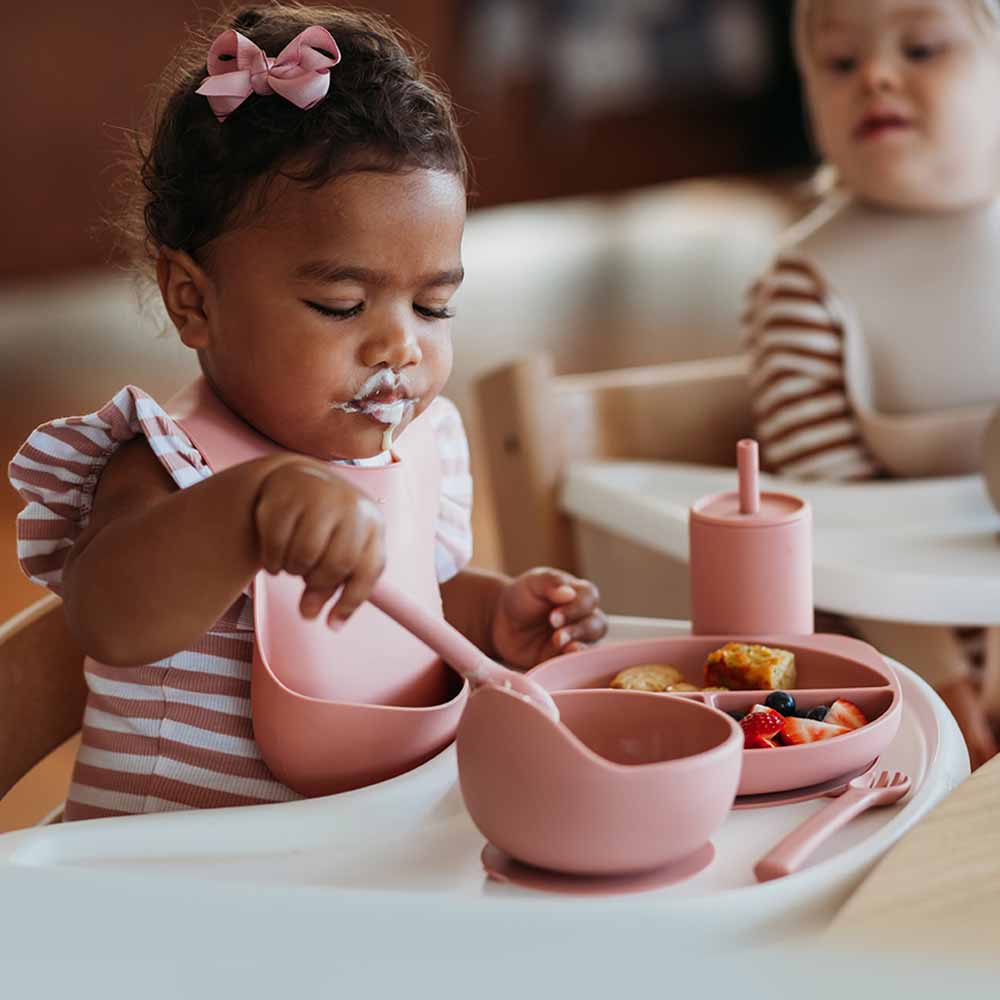 Baby & Toddler Food-Grade Silicone Suction Bowl