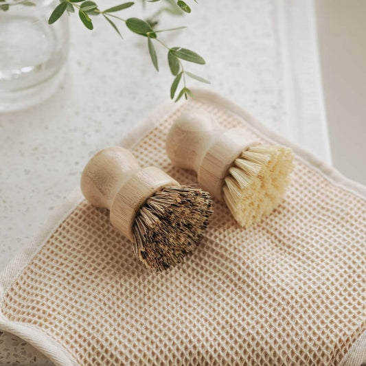 Bamboo Dish Brushes | Set of 2