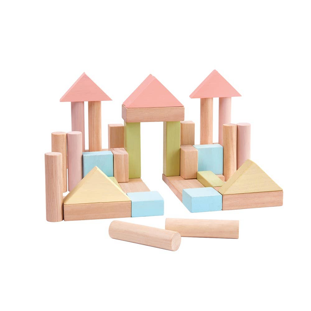 Plan Toys Wooden Pastel Blocks