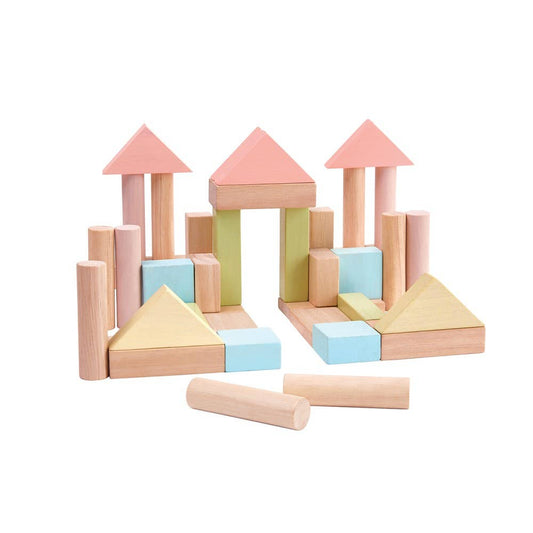 Plan Toys Wooden Pastel Blocks
